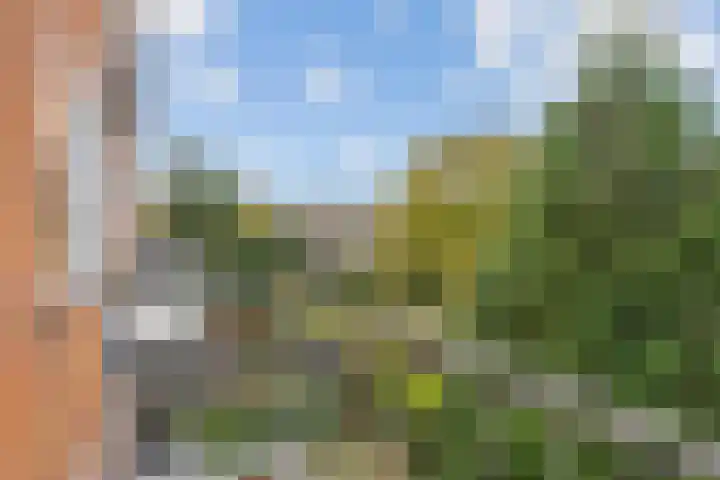 Oosterengweg 360 Hilversum thumbnail 18