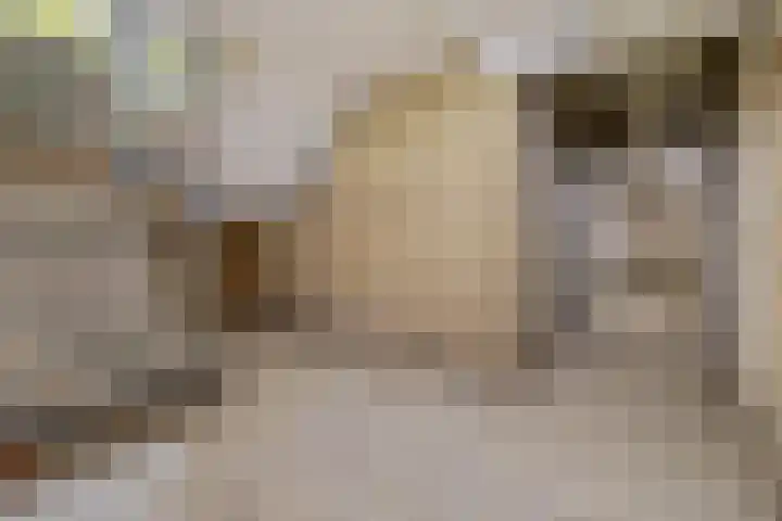 Oosterengweg 360 Hilversum thumbnail 19