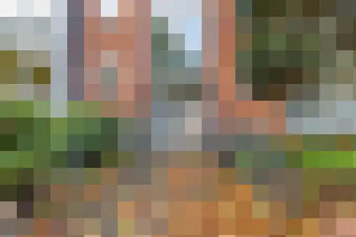 Oosterengweg 360 Hilversum thumbnail 4
