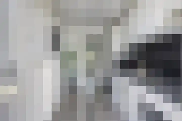 Oosterengweg 376 Hilversum thumbnail 15