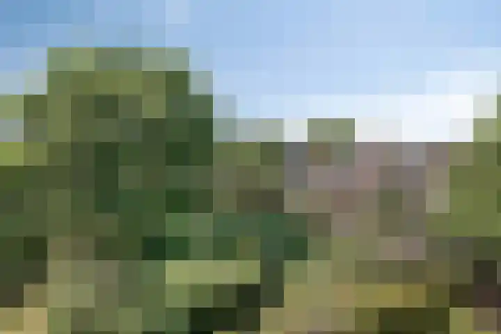 Oosterengweg 376 Hilversum thumbnail 20