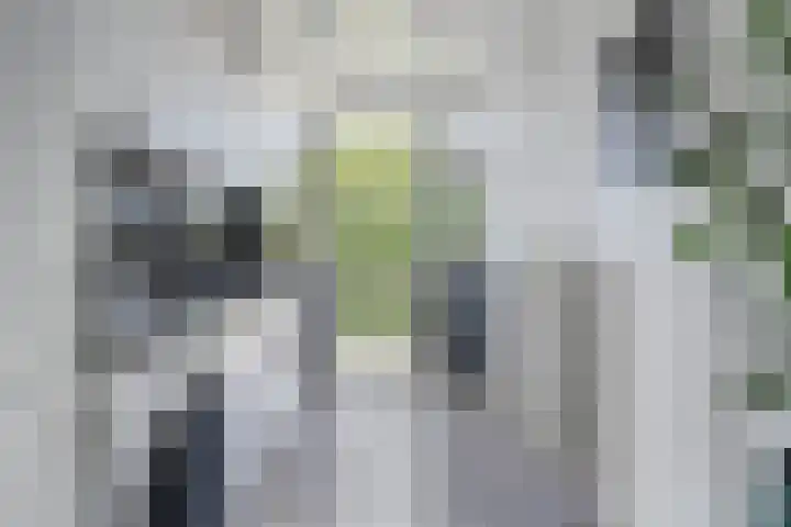 Oosterengweg 376 Hilversum thumbnail 4