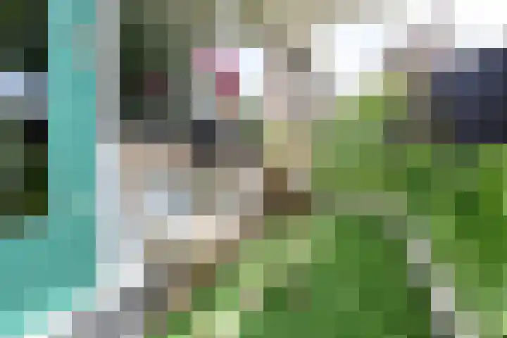 Oosterengweg 48 C Hilversum thumbnail 10