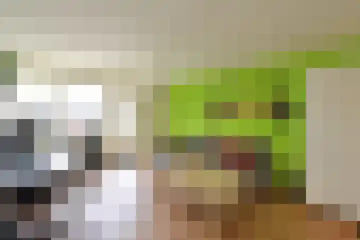 Oosterengweg 48 C Hilversum thumbnail 4