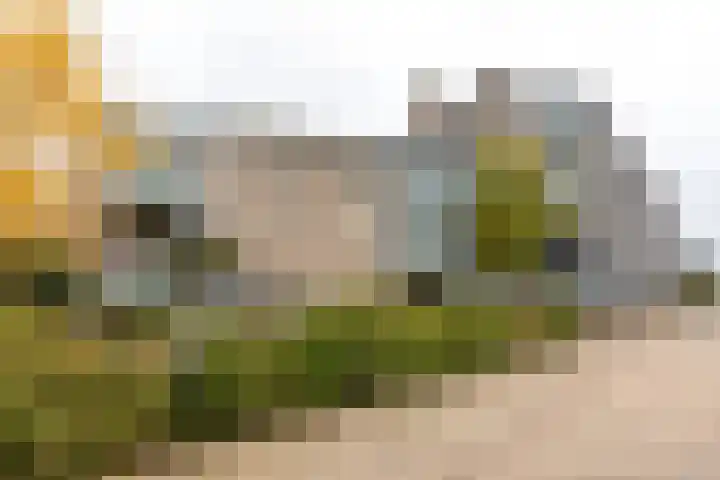 Oosterengweg 79 Hilversum thumbnail 20