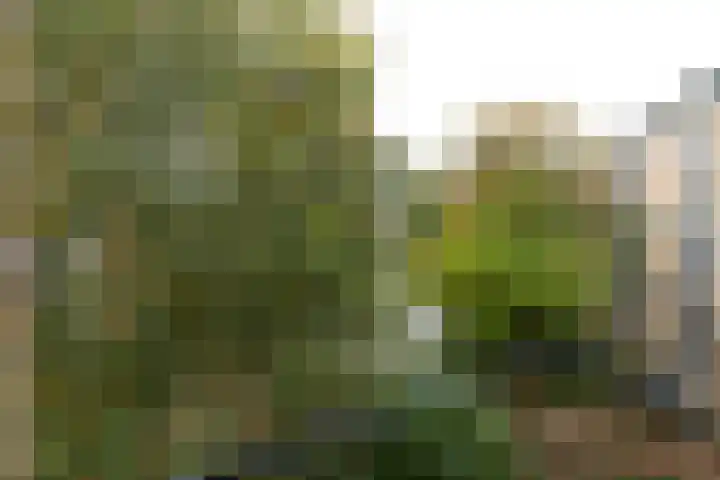 Oosterengweg 79 Hilversum thumbnail 7