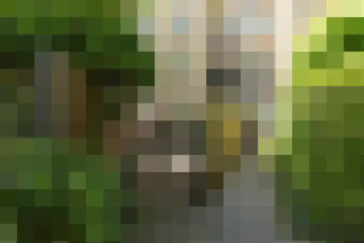 Oosterengweg 81 Hilversum thumbnail 24