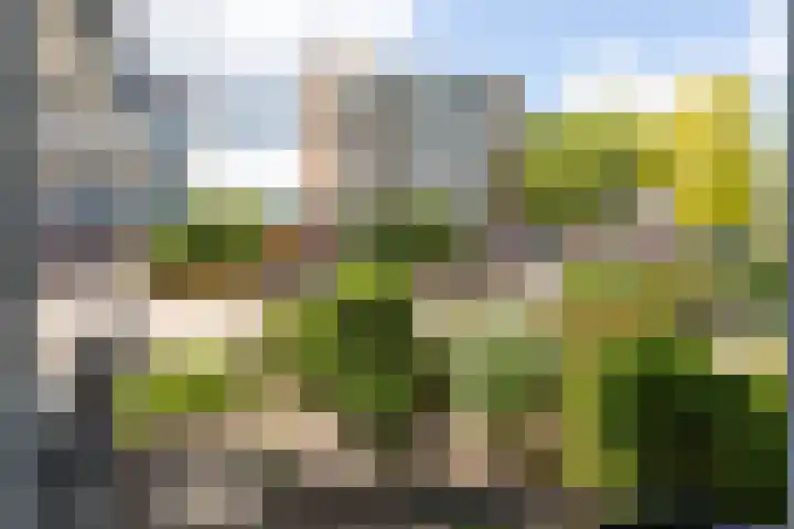 Oosterengweg 81 Hilversum thumbnail 25