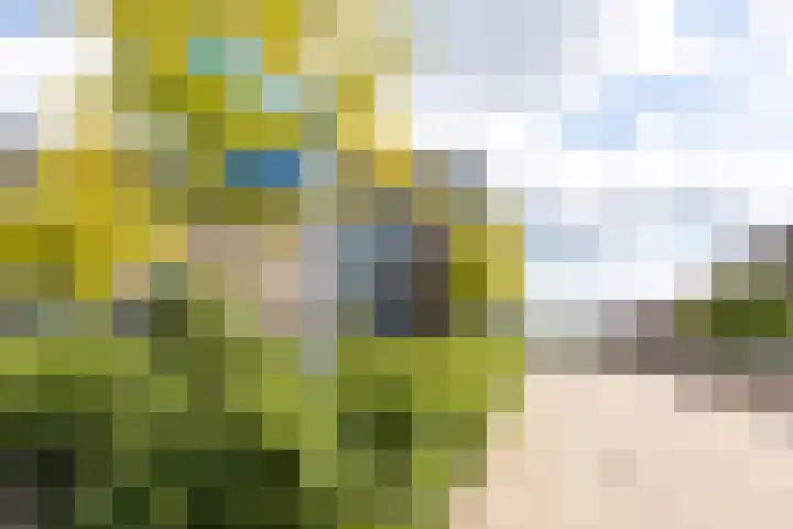 Oosterengweg 81 Hilversum thumbnail 4