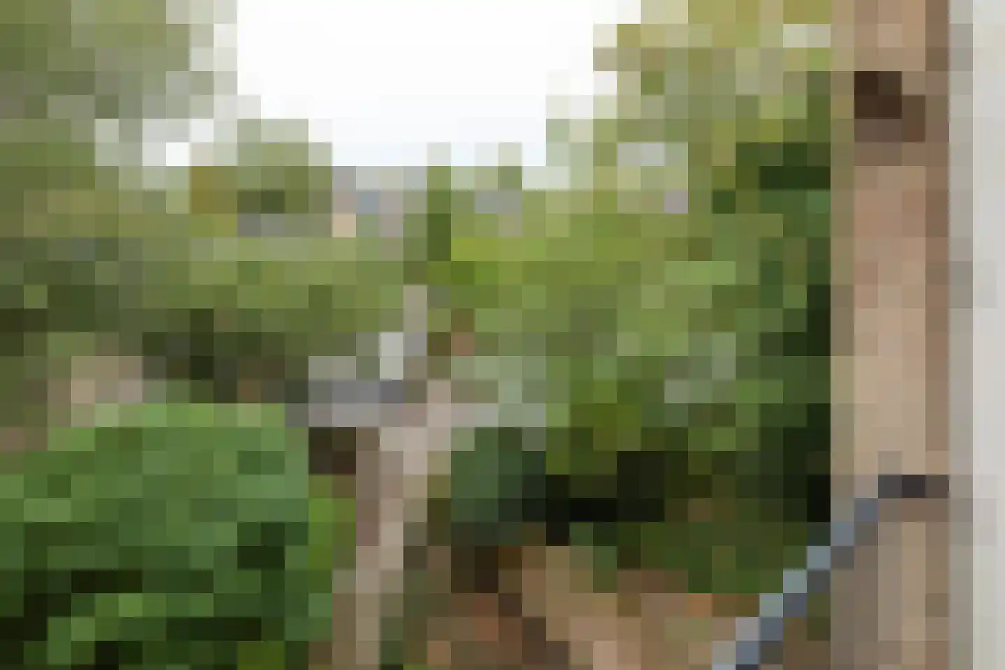 Oosterengweg 85 Hilversum thumbnail 24