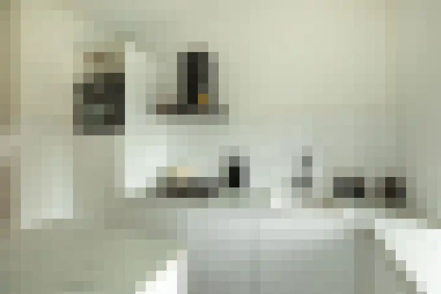 Oosterengweg 87 Hilversum thumbnail 13