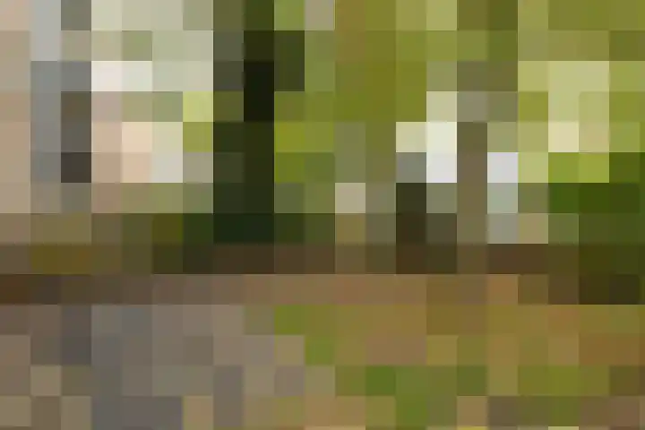 Oosterengweg 97 Hilversum thumbnail 19