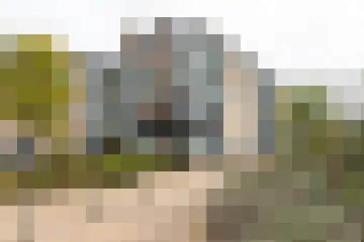 Oosterengweg 97 Hilversum thumbnail 23