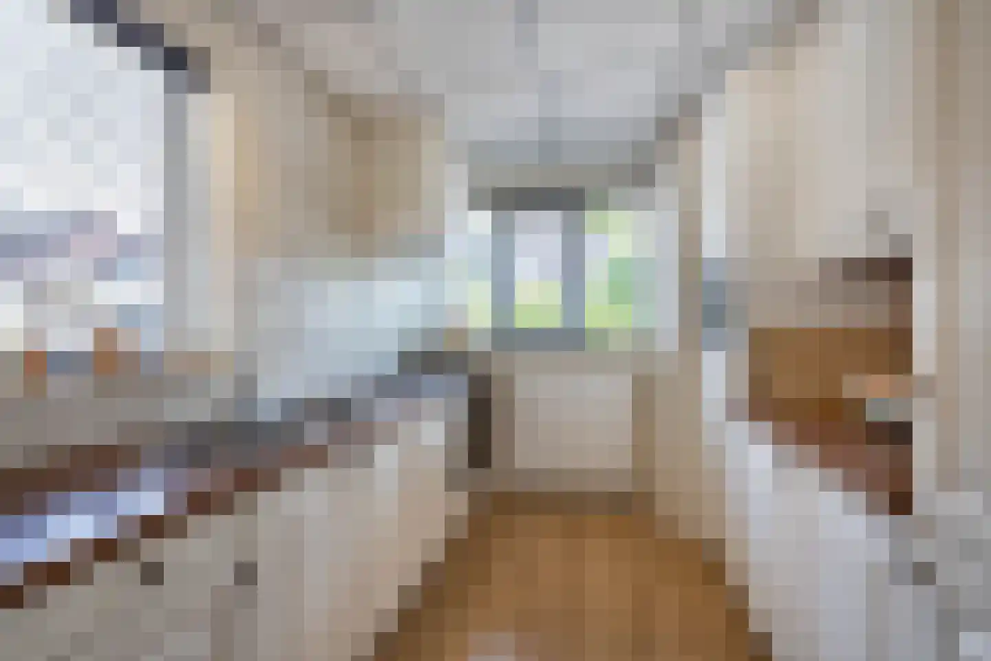 Oosteres 27 Almelo thumbnail 12
