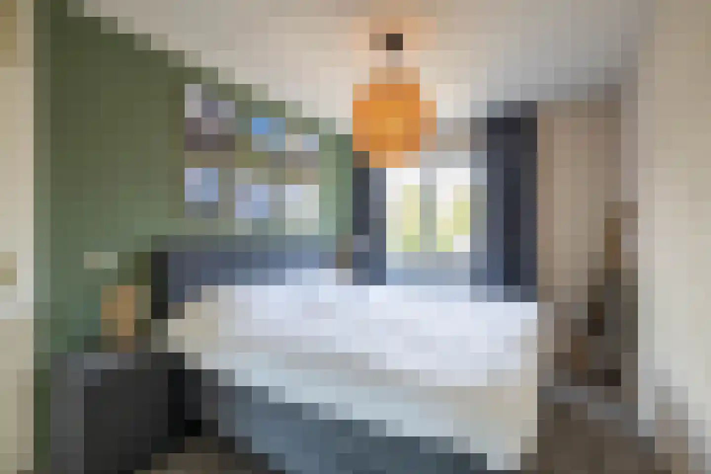 Oosteres 27 Almelo thumbnail 15