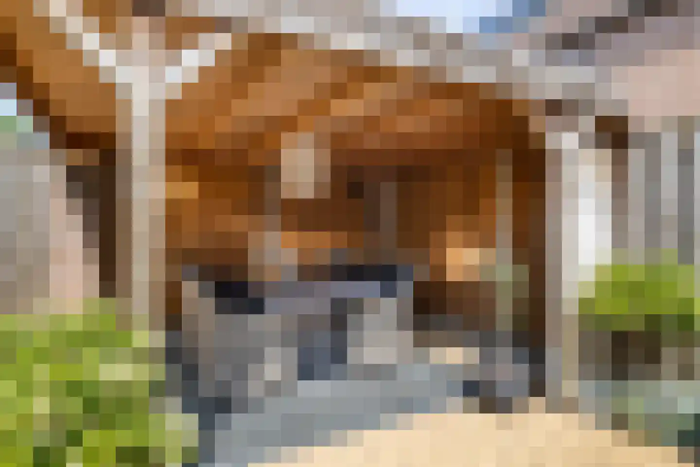 Oosteres 27 Almelo thumbnail 25