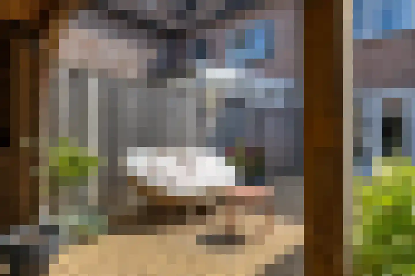 Oosteres 27 Almelo thumbnail 27