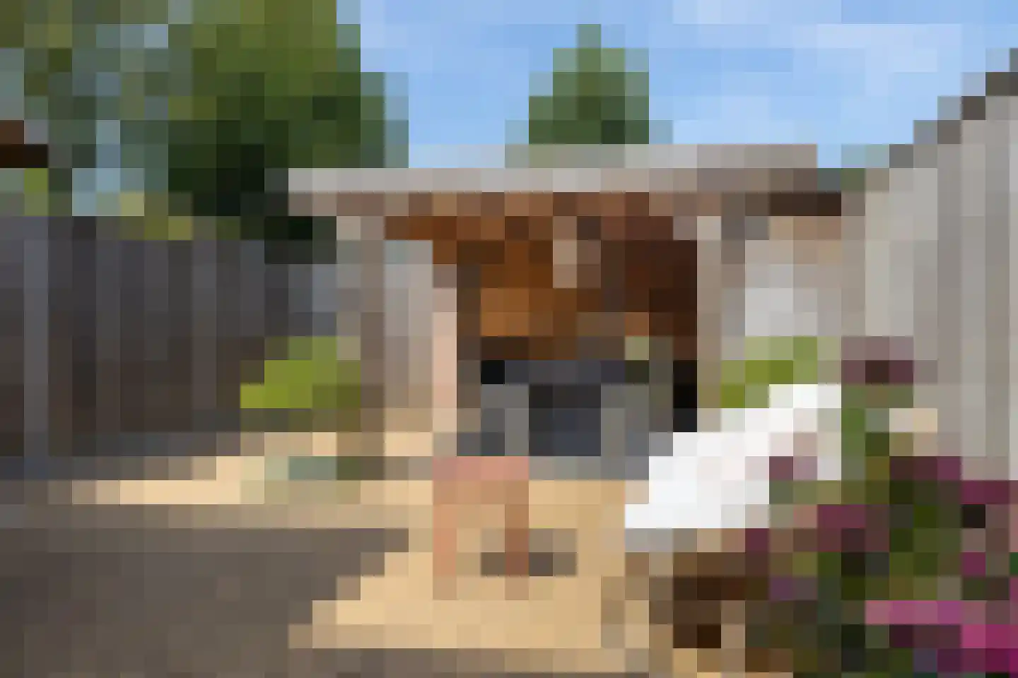 Oosteres 27 Almelo thumbnail 28