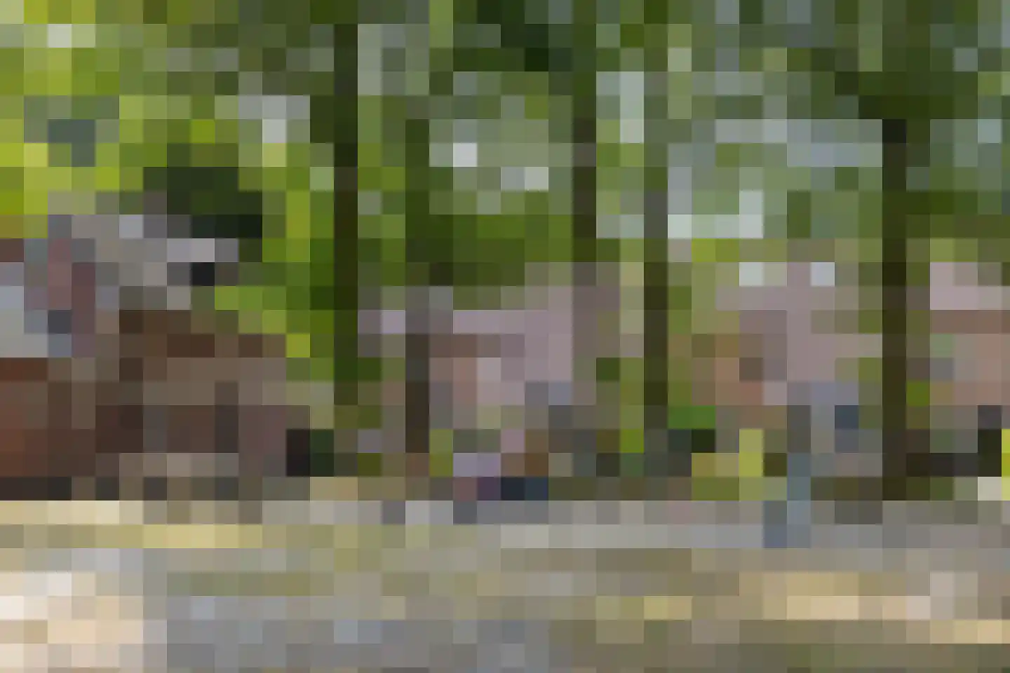 Oosteres 27 Almelo thumbnail 32