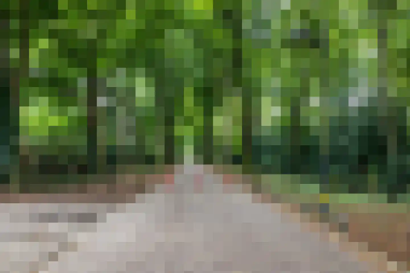Oosteres 27 Almelo thumbnail 33