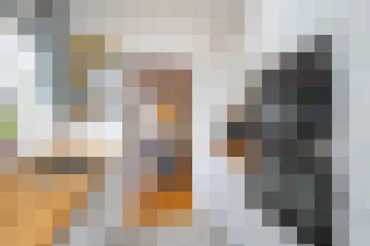 Oosteres 67 Almelo thumbnail 12