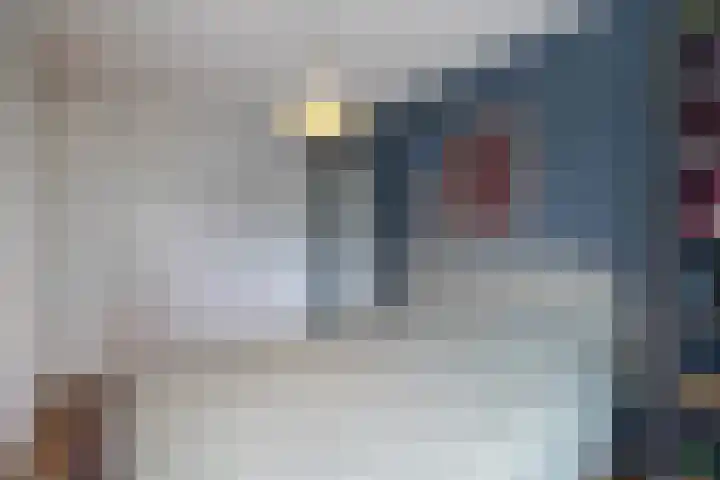 Oosteres 67 Almelo thumbnail 19