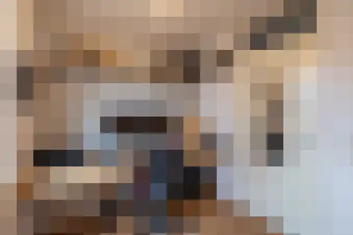 Oosteres 67 Almelo thumbnail 21