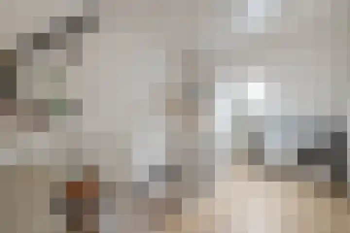 Oosteres 67 Almelo thumbnail 22