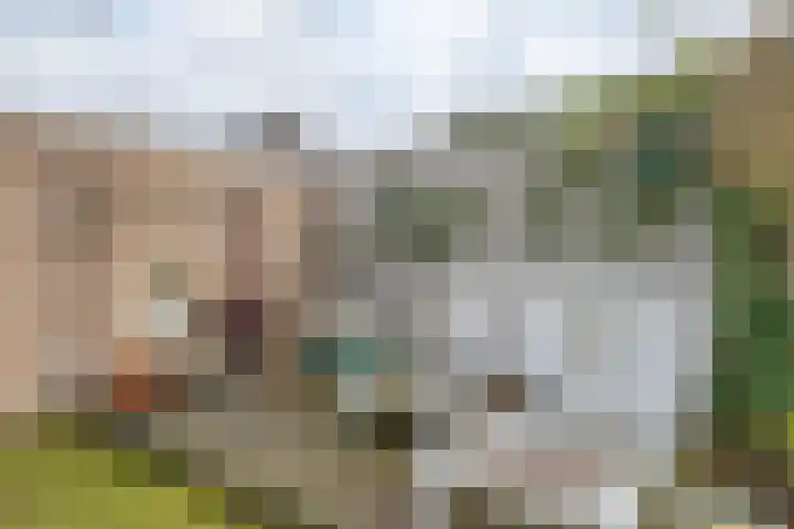 Oosteres 67 Almelo thumbnail 27