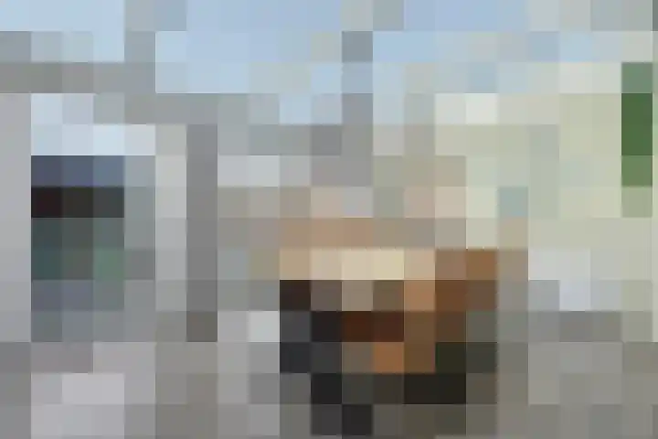 Oosteres 9 Almelo thumbnail 11