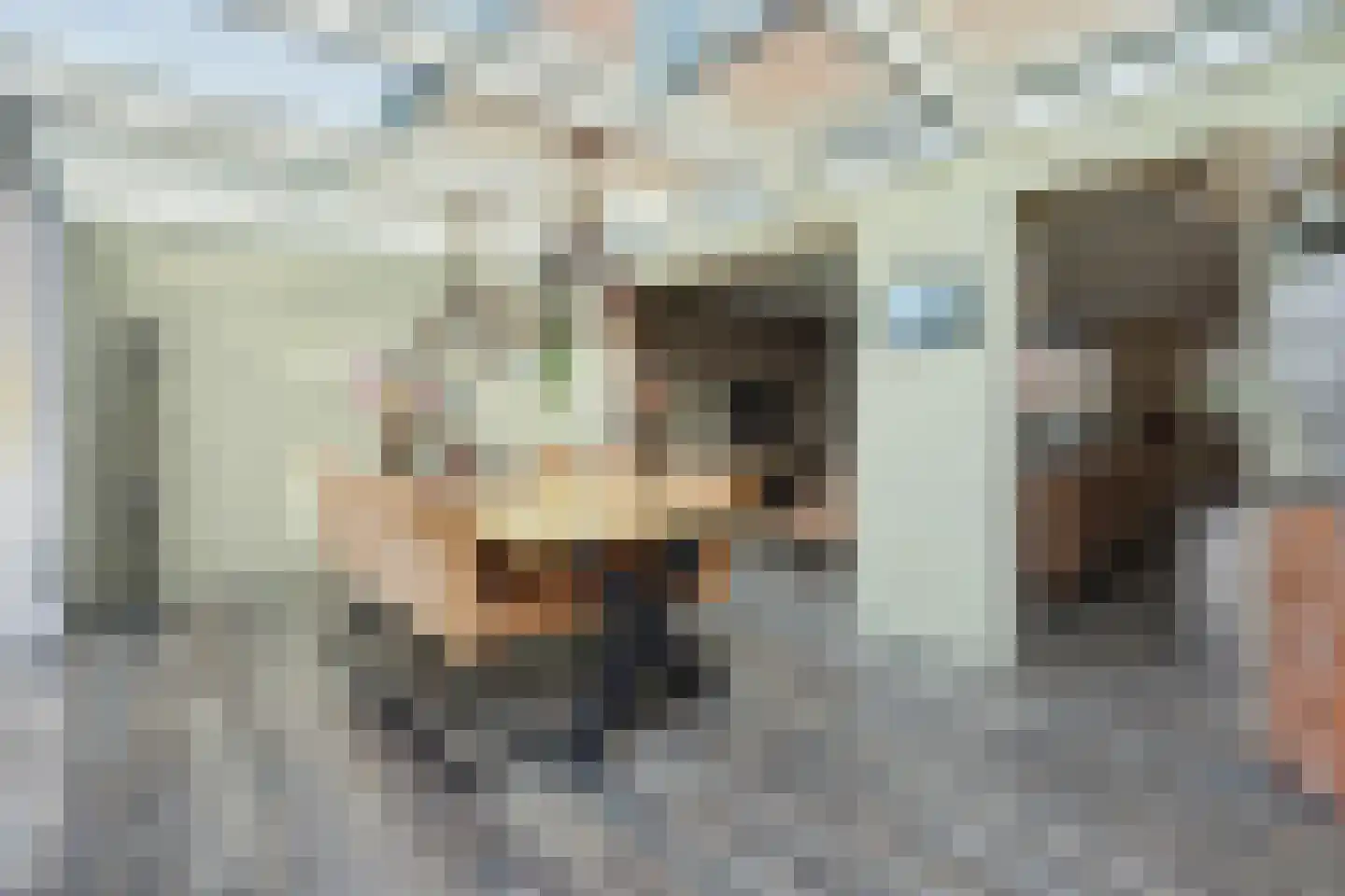 Oosteres 9 Almelo thumbnail 12