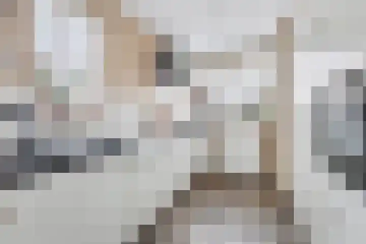 Oosteres 9 Almelo thumbnail 13