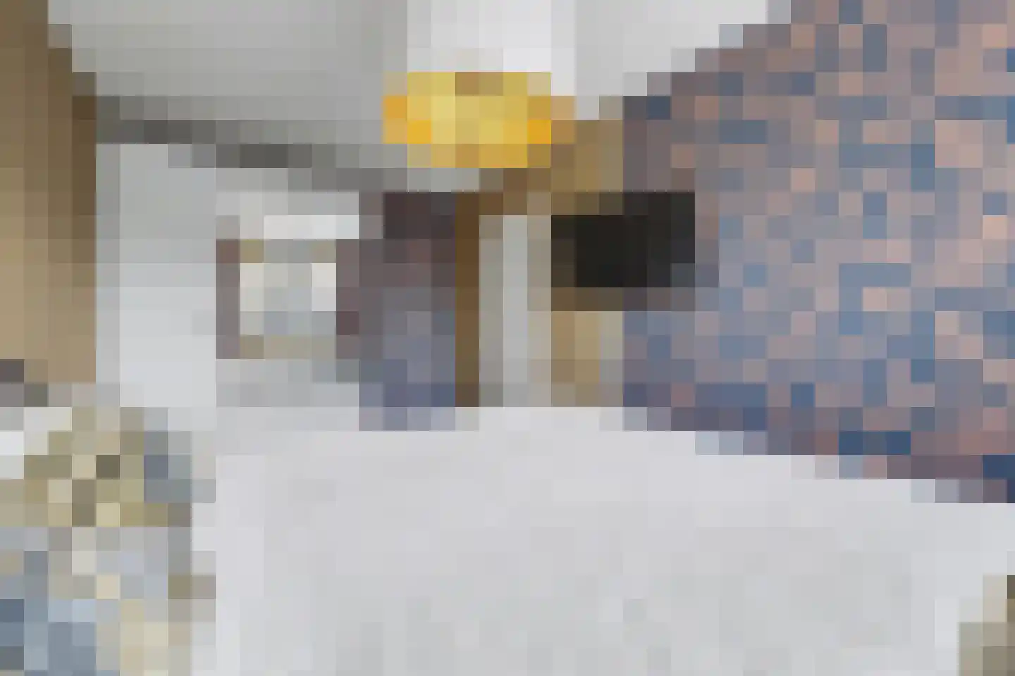 Oosteres 9 Almelo thumbnail 20