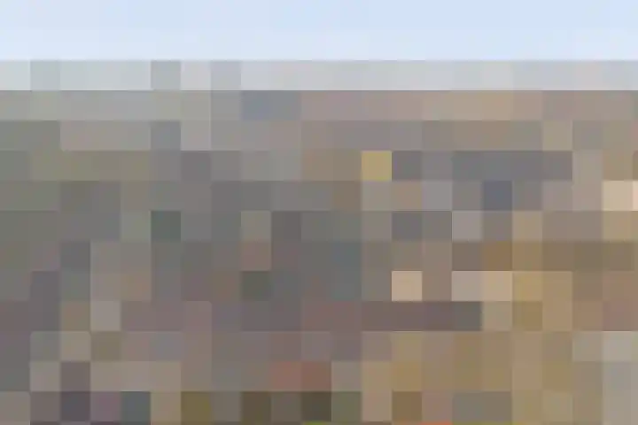 Oosteres 9 Almelo thumbnail 41