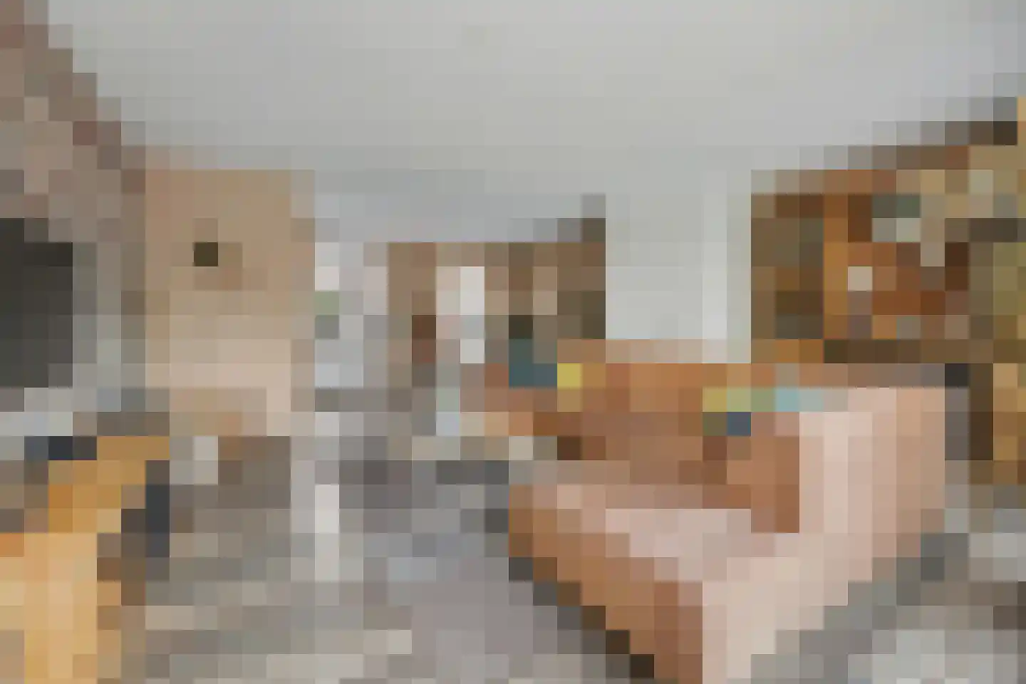 Oosteres 9 Almelo thumbnail 5
