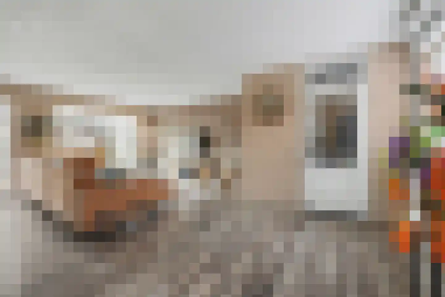 Oosteres 9 Almelo thumbnail 7