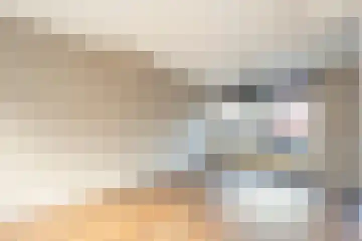 Oosteres 9 Almelo thumbnail 8