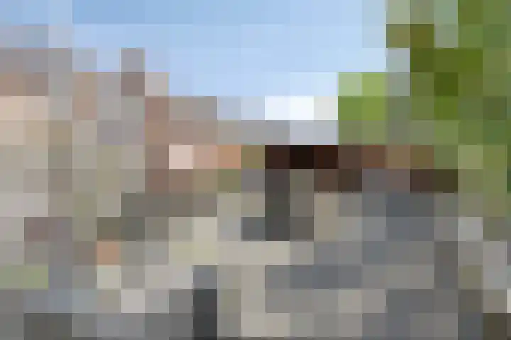 Oostergo 1 Heerenveen thumbnail 12