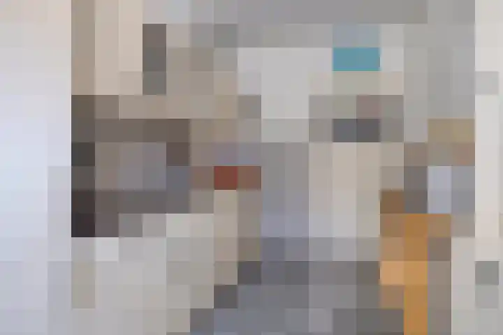 Oostergo 1 Heerenveen thumbnail 13