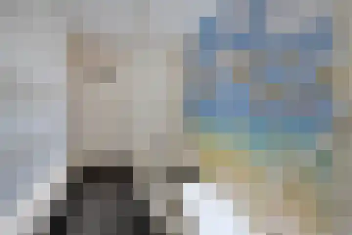 Oostergo 1 Heerenveen thumbnail 16