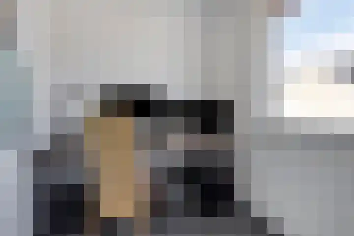 Oostergo 1 Heerenveen thumbnail 22