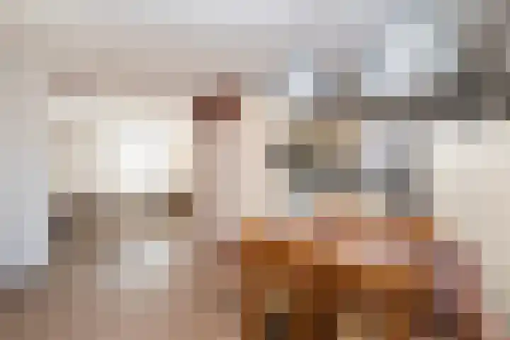 Oostergo 11 Dronten thumbnail 11