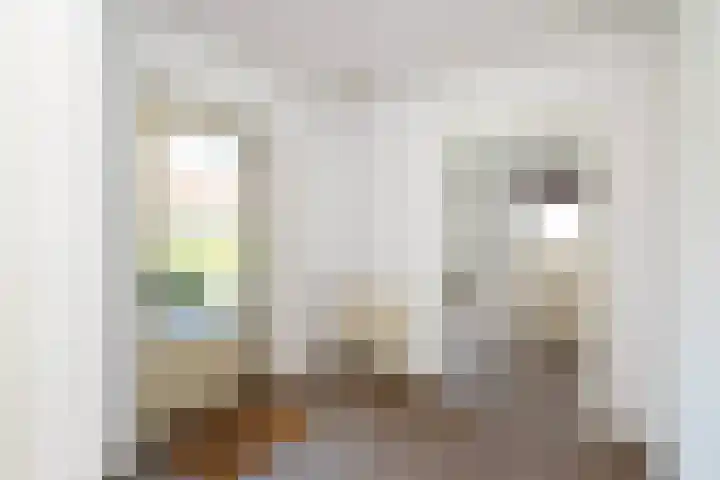 Oostergo 11 Dronten thumbnail 13