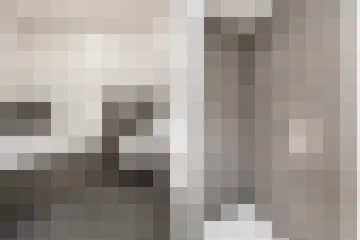 Oostergo 11 Dronten thumbnail 15