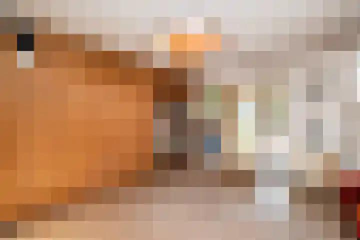 Oostergo 11 Dronten thumbnail 17