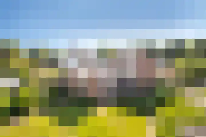 Oostergo 11 Dronten thumbnail 25