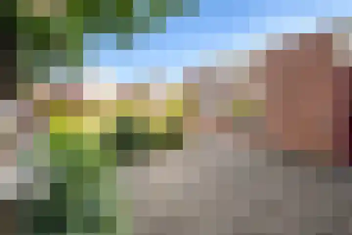 Oostergo 11 Dronten thumbnail 27