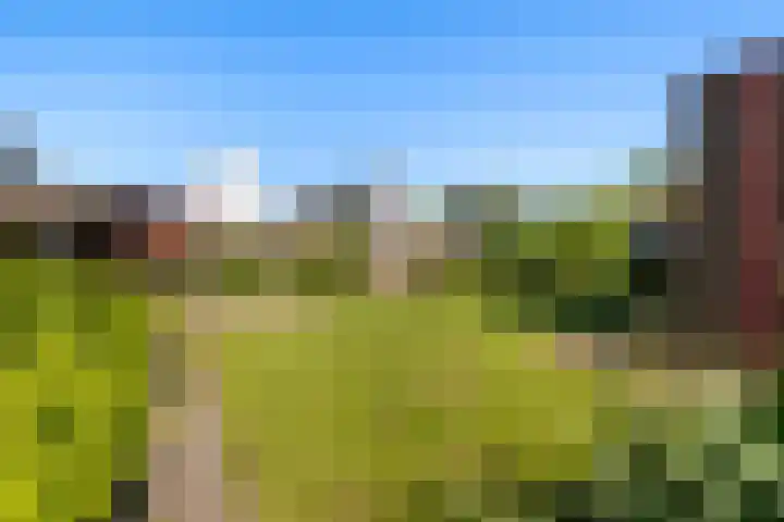 Oostergo 11 Dronten thumbnail 28