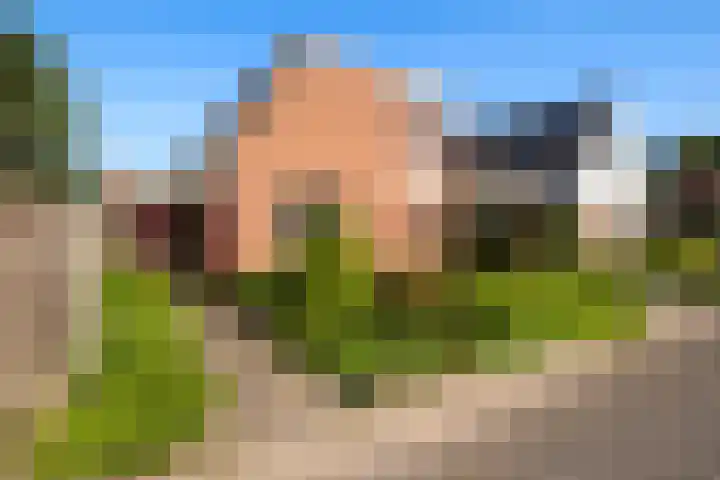 Oostergo 11 Dronten thumbnail 29