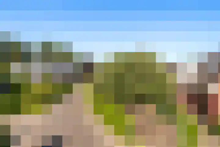 Oostergo 11 Dronten thumbnail 30